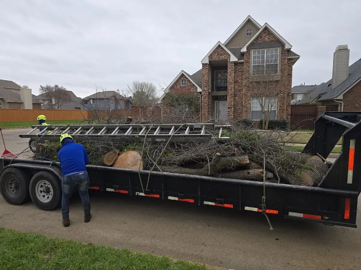 Expert Lot Clearing with proper safety equipment in Saugatuck